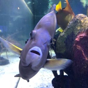 Meet your Posher, Stacey